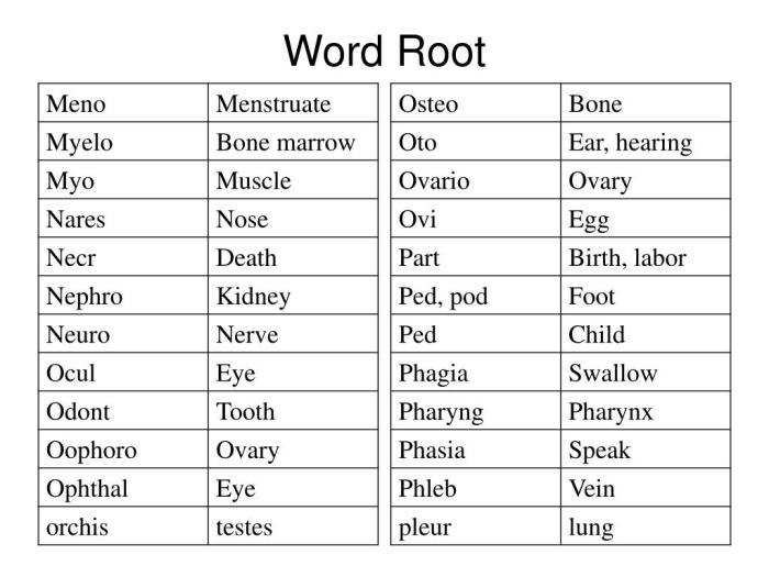 Struct build root words list print construct