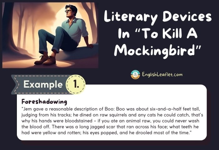 Literary devices in to kill a mockingbird