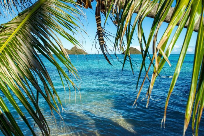 A place located along a windward coast