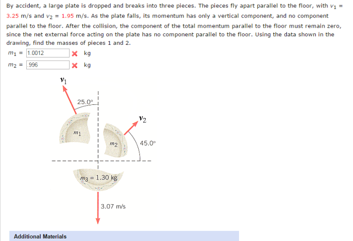 By accident a large plate is dropped