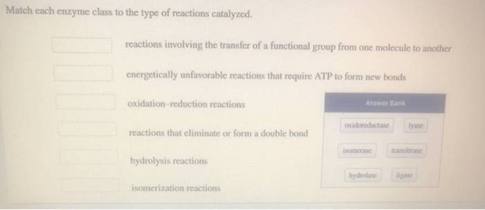 Enzyme substrate catalyzed role