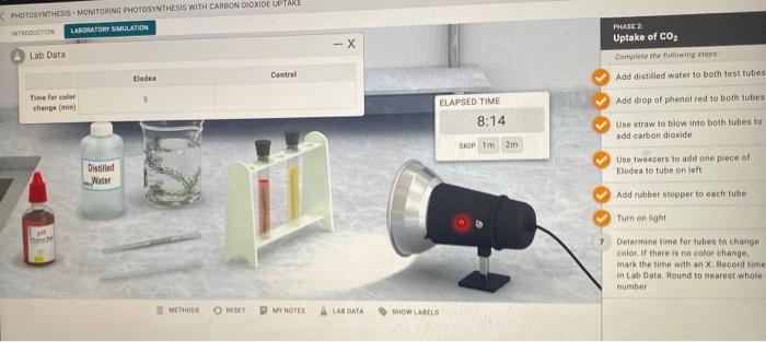 Photosynthesis monitoring photosynthesis with carbon dioxide uptake