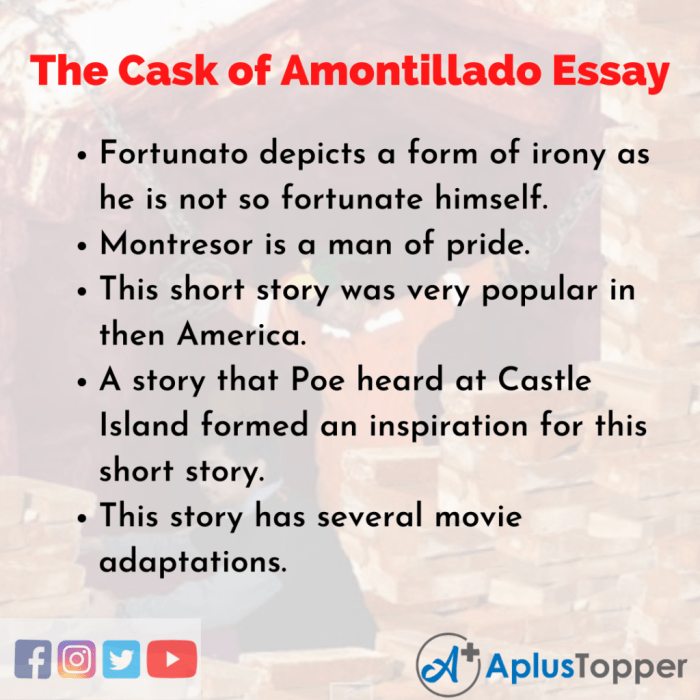 The cask of amontillado discussion questions