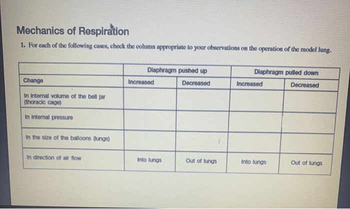 Rate of respiration virtual lab answer key pdf