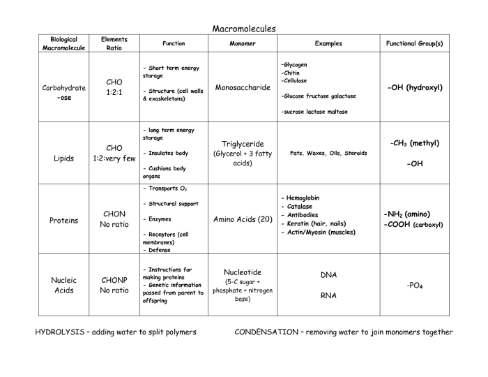 Elements and macromolecules in organisms answer key