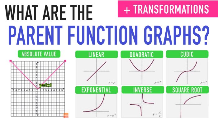 Functions families identify lesson study summary common