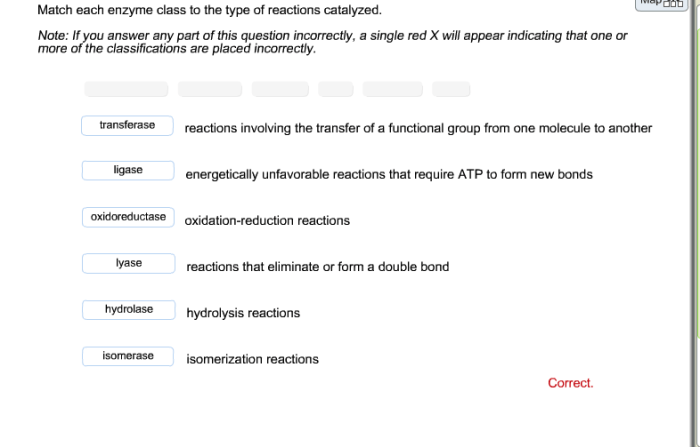 Match each enzyme class to the type of reactions catalyzed.