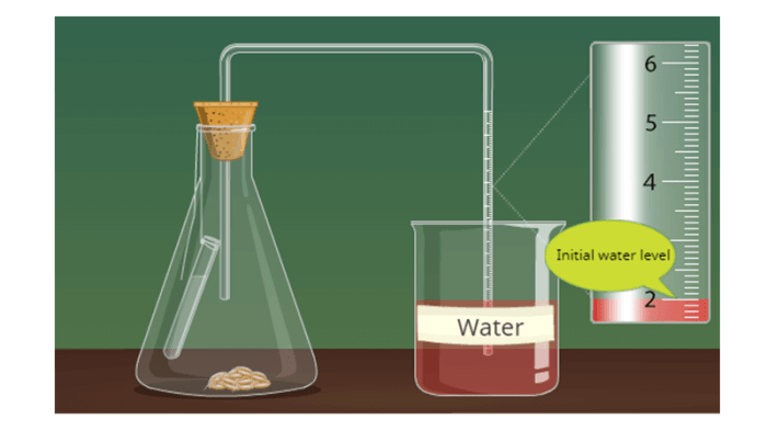 Rate of respiration virtual lab answer key pdf